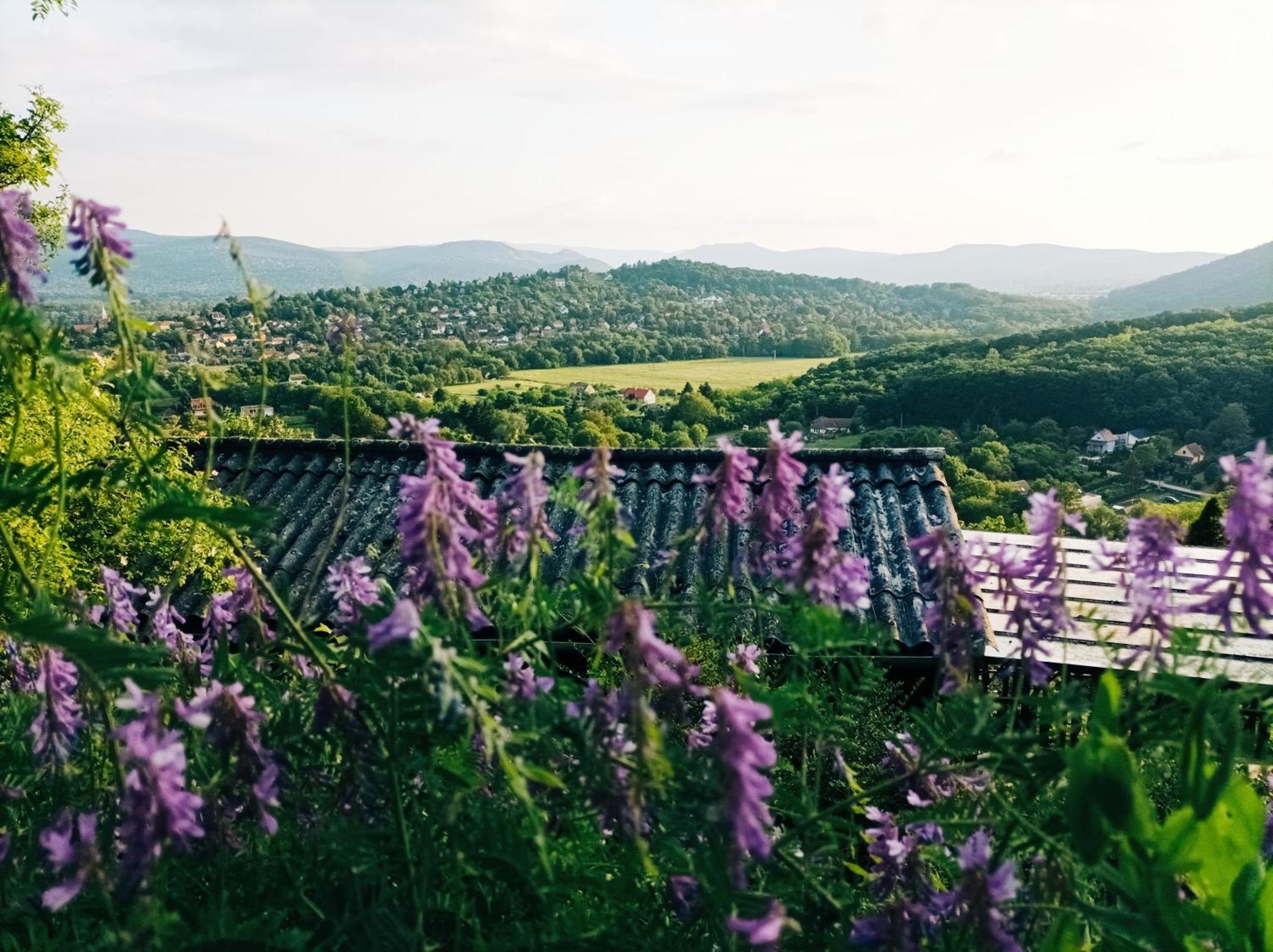 Villa Felhofeszek Vendeghaz Kismaros Esterno foto